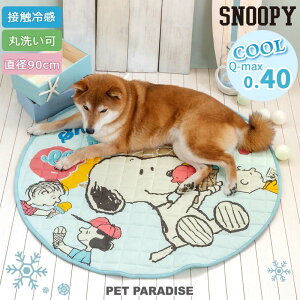 Xk[s[  N[ }bg  i90cmj ACX _ }bg ^ |  Ђ ڐG⊴ ybg ėp L ybgxbh  􂦂  p LN^[ 킢