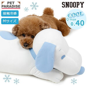 Xk[s[  NbV  N[ ڐG⊴ ̂ ėp xbh Jh[ M 64cm | ₵ u[  p ΍ ybg ӂӂ N[xbh L ybgxbh 􂦂