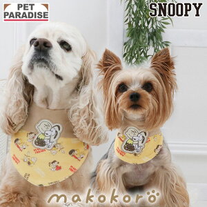 Xk[s[   ~ Hokarela o_i ^ ^ | EFlX u[ XpI[ SPAORE N[[V z ԊO VjA V  K