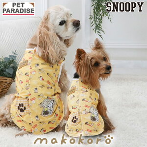 Xk[s[   ~ Hokarela xXg ^ ^ | EFlX u[ XpI[ SPAORE N[[V z ԊO VjA V  K