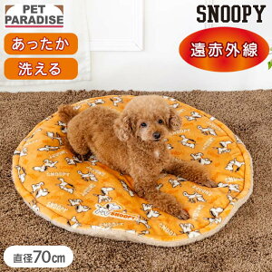 Xk[s[  }bg ~p i70cmj ĂĂ  {A}bg | ԊO 􂦂  ۉ h  ybg xbh ~ 킢   IW