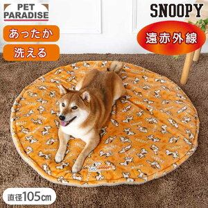 Xk[s[  }bg ~p i105cmj ĂĂ  {A}bg | ԊO 􂦂  ۉ h  ybg xbh ~ 킢   IW