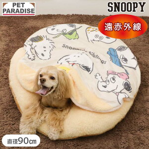 Xk[s[  }bg ~p 傤 났}bg i90cmj | ԊO 􂦂  ۉ h  ybg xbh ~ 킢   CG[