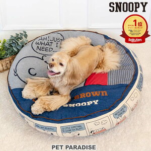 Xk[s[ ybgp_CX  xbh  80fS NbV(90cm) | ObY L nEX  킢 ӂӂ ʔN NbV \t@ Jh[ ̂ LN^[ ی^