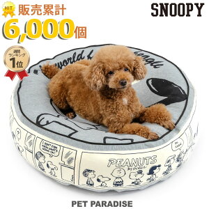 ybgp_CX Xk[s[  xbh  NbV i60cmj nbs[_X | LO1ʓ ObY L nEX  킢 ӂӂ ʔN NbV \t@ Jh