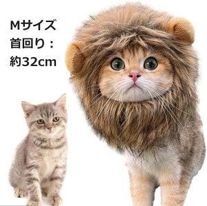 qL L CÎĂ Lp EBbO Xq hXAbv CI Ă 炩 K  CX^O CILO RX`[ CI wA nbg ʔ ybg 
