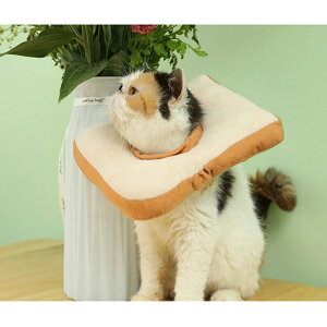 L GUxXJ[ ܐ؂ | ݂  r h~ Hp ˂ ɂ ^   킢 _炩 S y y ʔ S y  e r h~ \tg TCY 