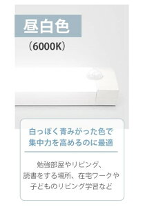 lZT[Cg  [d led USB   铔 iCgCg  N[[bg Ɩ m 2 }Olbg  퓔 ZT[  Ki L     