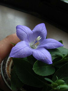 j[LLEԉԔ@yMyĂzj[A@2023N7J