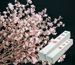 1222萳2026N1ɊJԃTNłԌNNn̂j蕨ɂߓޗǋǧ[28N[ ԑNn̑蕨ɏt