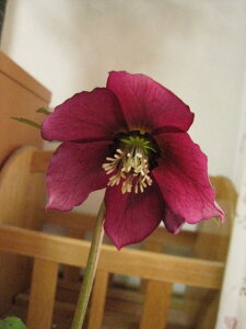 yz@ y|bgcz yNX}X[Yzbh