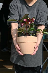 2025N122026N2ɊJԊNX}X[YJԊANX}X[YJԊXKN