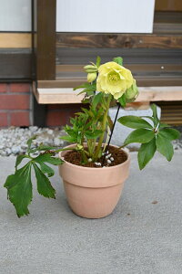 2023NNX}X[Y JԊ @dCG[NX}X[Y@i@6@2022N32Be