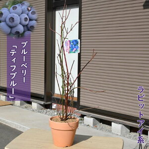 2025Nu[x[ A eBtu[ ʎ rbgACn