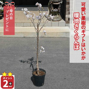 HׂTN{ c gnTN{ v[g1{łTN{̎Ȃ2025N蕨ɒgn5ɎȂ܂Ԃy߂܂gn4̊JԌ㏬