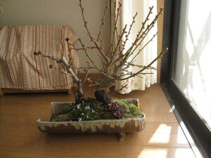 2026N2`3ɊJԍyފ񂹐A~2026N2Jԁy~͔~z~~͊񂹐A~́@~͍ƉԂ̑蕨~~ y~́zMyĂg~TN~