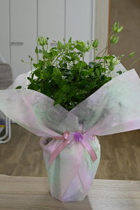 N}`XN}`X@N}`XV}G@d@5@JԂIԂł̂͂ɂȂ܂