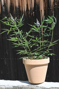 2024N8JԐmjW{NAeRb^6ZCEjW{N6TCY@30Z`mlQ4