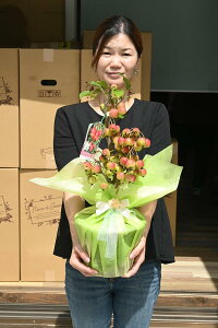 2025NH̃v[g ΂4ɊJԌHɂ͐Ԃ񂲂ãv[gɕP񂲔A񂲑蕨ɃAbvP񂲁@Hɂ́@ȉ炵܂H