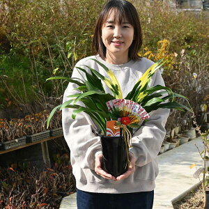 2025N͉NłjVzãv[gɉN̗ǂ2025N̑蕨ɂsb^ϗtA N D  Nǂ Ig  蕨