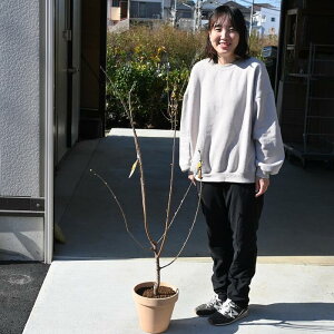 2026N12ɊJԉԉLX~EoCAX~ EoC肪΂炵@EoCX~i܂񂰂낤΂j