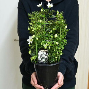 2026N3蔭\B΃N}`X N}`XJg}j[W[c5TCY