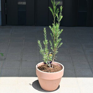 eB[c[eB[c[ eRb^ 20Z`@EJ