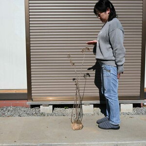 2025NJԐQcAix@80Z`@AWTC ̃TCỸAix͂ȂȂȂłB@AWTC@cw120Z`2024NJԂ7ȍ~͙̂͂̏Ԃł͂