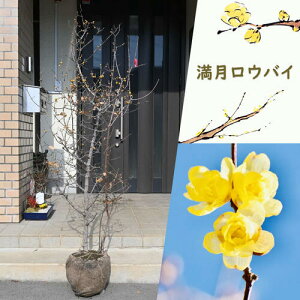 ԉ肽̍2025N1`2J EoC c Qc~ɂ肪閞T130`140Z`EoCcX~ }QcEoCc؍肪΂炵