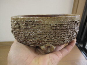 �y�~�͔��z�M�y�Ă������炫�@������@�M�y��