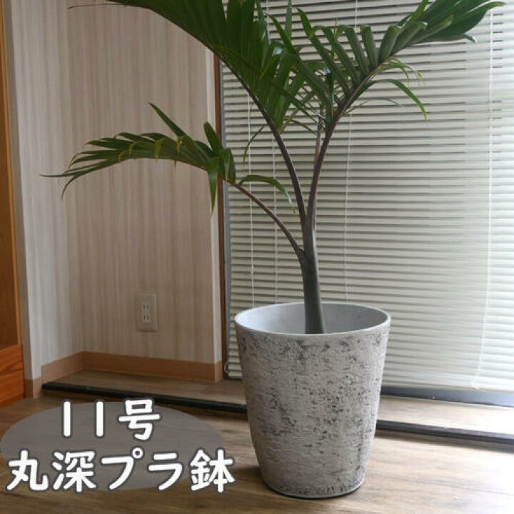 楽天市場】植木鉢 プラ鉢 軽量 樹脂素材 おしゃれ 11号 丸深型 ライト 