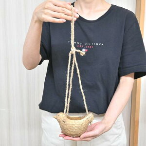 nMO|bg@Aؔ@@@o[h@݂@AeB[N@A