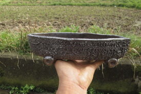 楽天市場 植木鉢 舟型の通販