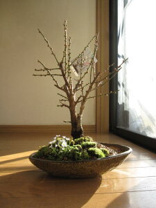 ~@~͍g~qi~͍ʖ~̓Zbg蕨~͐My@g~~͊񂹐A