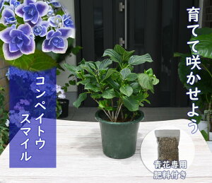肥料 剪定の人気商品 通販 価格比較 価格 Com