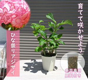 ŷ͂ƂȂ܂zAWTC엿t2025N45Jԗ\̃AWTC@c@5Jԁ@6ȍ~́@肵Ԃł@ЂȍՂAWTCc@5엿t