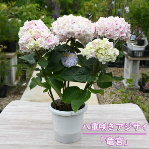 肵Ԃł̂͂ƂȂ܂@2023Nav[g@5肨͂ d炫AWTC { sN z  JԊAWTC 5@y23N׊z