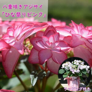 ŷ͂ƂȂ܂zȃ蕨 2025N ̓̑蕨 Ԕ d炫AWTC ЂȍՂ sN z  @JԊAWTCizԁEjЂȍՂs