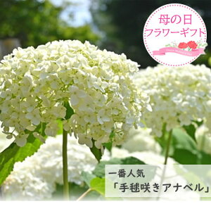 630ȍ~̙̂͂ƂȂ܂蕨 2025N6Jԕc Aix AJ z630ȍ~͊JԂ͏I肵Ԃł̂͂ƂȂ܂B