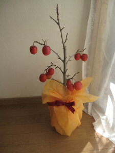 ȃ蕨Ɂ@A񂲁FyƂŎ荠ɉʎ͔|񂲁zy񂲁zyz