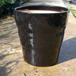 F 픫@@Vv@x[VbN@Aؔ@@@킢