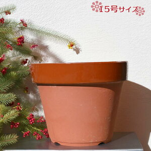 �傫���f�Ă����@15�� �T�C�Y�@�V���v���@�A�ؔ��@���@�������@���킢���@��c�@�߂��炵��