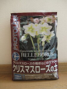 12LTCYNX}X[Y̓y @ NX}X[Yp̓y