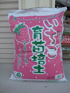 イチゴ 培養土の人気商品 通販 価格比較 価格 Com イチゴ 培養土の人気商品 通販 価格比較 価格 Com