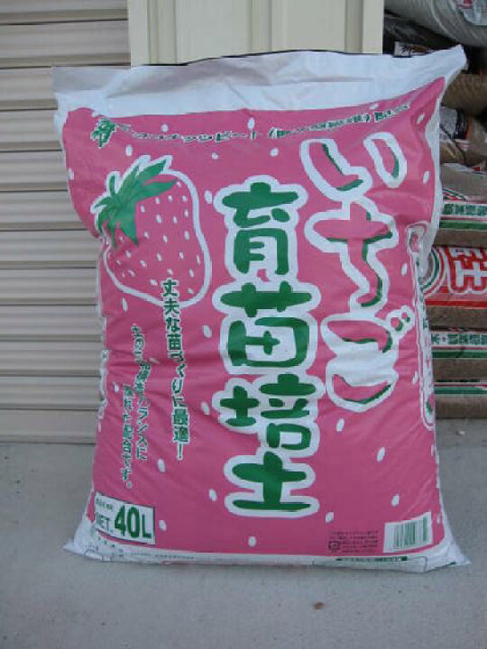 楽天市場 いちご専用の土 いちご育苗培土イチゴの土大容量40lサイズです 園芸百貨店何でも揃うこぼんさい 楽天市場 いちご専用の土 いちご育苗培土イチゴの土大容量40lサイズです 園芸百貨店何でも揃うこぼんさい