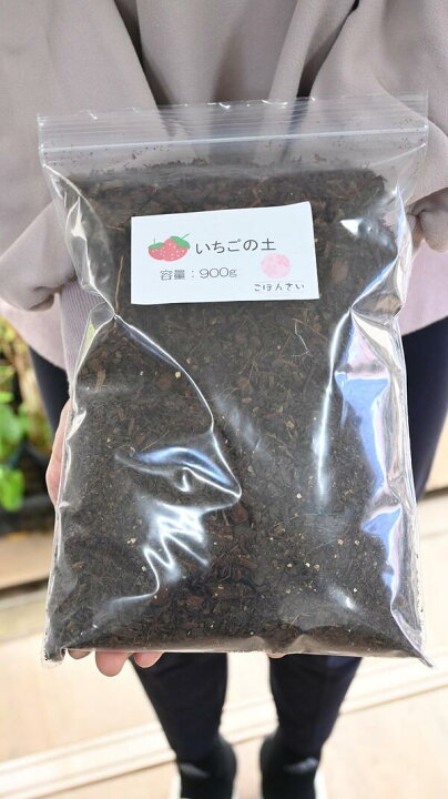 楽天市場】5袋セット900gの苺5袋セットの土美味しいイチゴを自宅で 