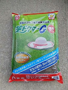 Ő̔엿@Őp엿ŃhN^[엿Őp