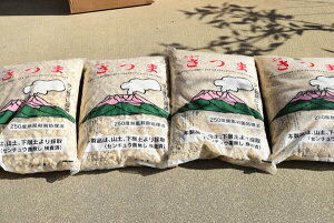 Hyܓy@@eʁ@16bg@ Fy@嗱 @@̎l_Zbg