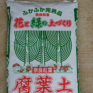 ޗǌty 20LޗǌYtyty@ӂ悤