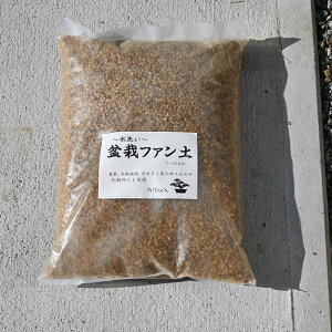 R@~̓t@y@1mm5mm@@􂢕i@@10L